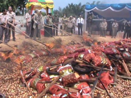 Balai Karantina Dumai Musnahkan 30 Ton Bawang Ilegal